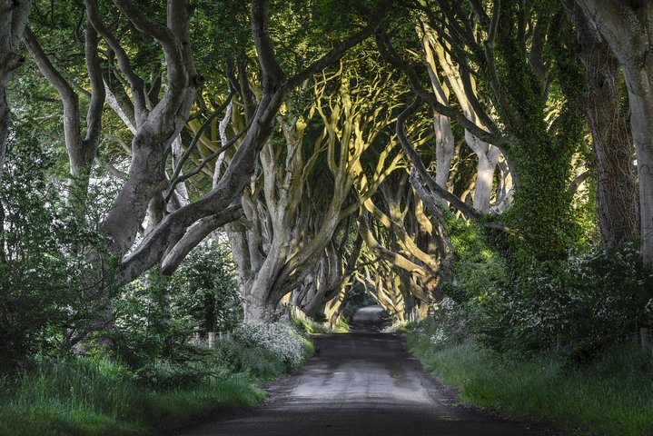 'Game of Thrones' and Giant's Causeway Tour from Belfast